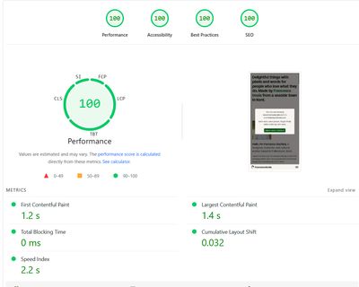 Screenshot of my Page Speed Insights results showing 100% score across all categories